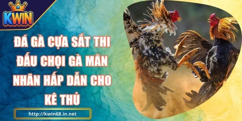 Đá Gà Cựa Sắt Kwin