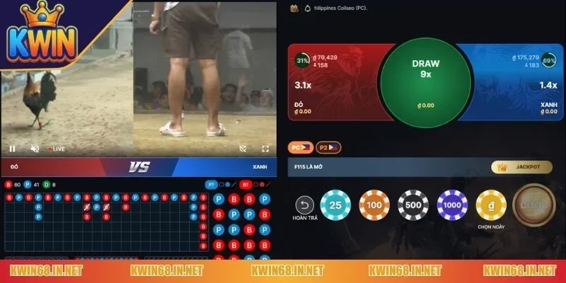 Luật chơi đá gà Kwin bạn cần nắm rõ để ăn lớn