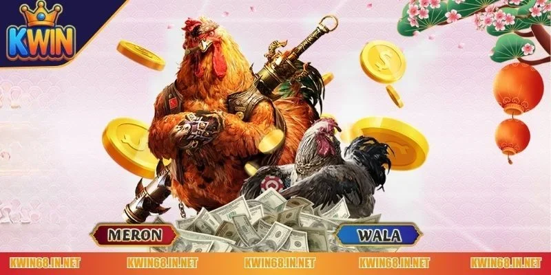 Tổng quan về hình thức đá gà Kwin